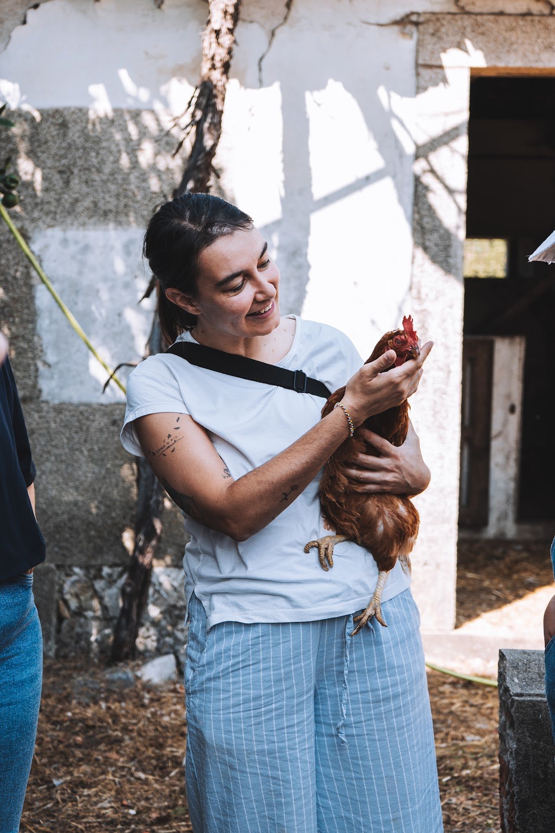 Voluntária da Frente Animal com uma galinha resgatada ao colo, num santuário