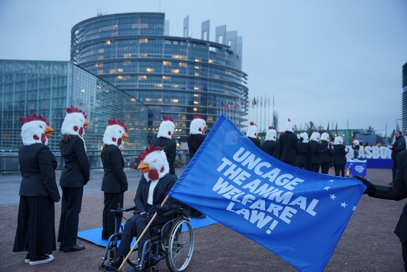 Acção no Parlamento Europeu com a faixa Uncage the Animal Welfare Law