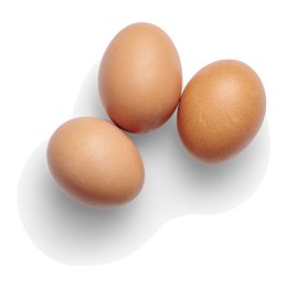 Frente Animal – Resources Frente Animal - Resources